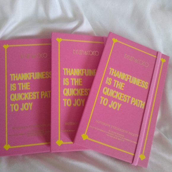 Last One!Kevin and Coco Notebook Palette Pink* HTF - Picture 3 of 5